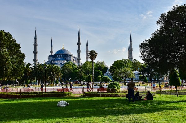 Wie kann man ein Programm zur Steigerung der Biodiversität in städtischen Gärten implementieren?